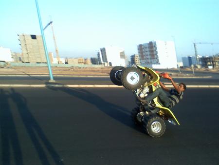 TALBI le pro